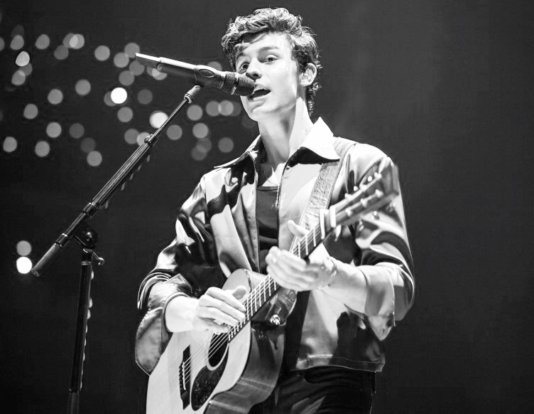 Portrait of Shawn Mendes