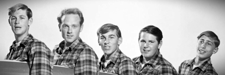 Portrait of The Beach Boys