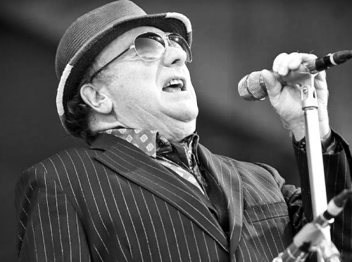 Portrait of Van Morrison